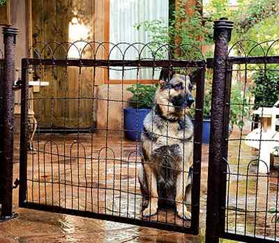 El Portal dog-friendly rooms and patios