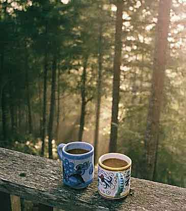 See Flagstaff & Grand Canyon