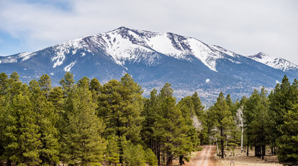 Day Trips from Sedona