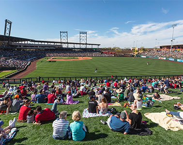 Spring Training Arizona
