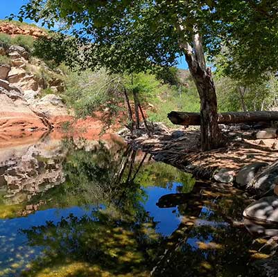 Halfway Picnic Area Sedona swimming hole