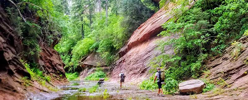 sedona hiking trails