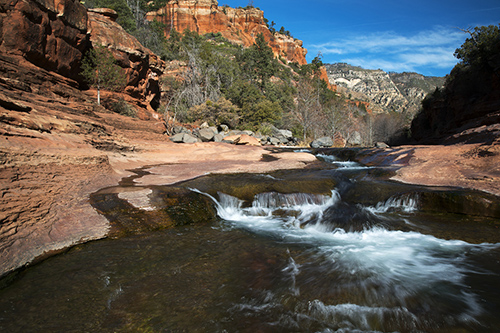 Are Dogs Allowed At Slide Rock