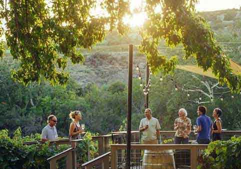 Wine Tour from Sedona to the Verde Valley Vineyards in Luxury Transportation