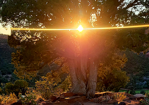 Private Spiritual Vortex Healing Tours
