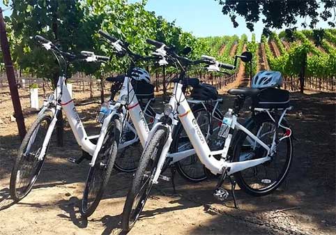 Experience E-Bike with Wine Tasting Activity