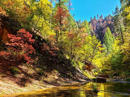 West Fork Hike Sedona