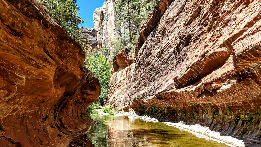 West Fork Trail in Oak Creek Canyon