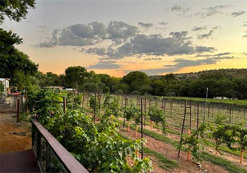 Sedona Wine Tours